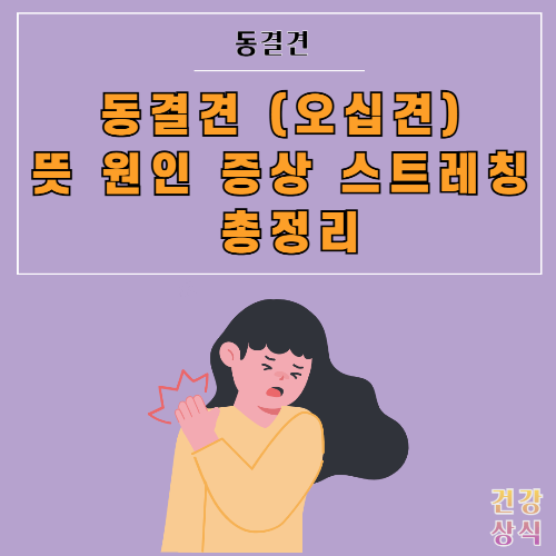 동결견 (오십견) 뜻 원인 증상 스트레칭 총정리