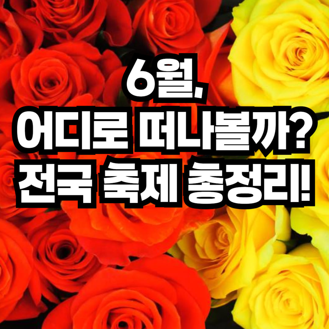 6월 전국 축제 일정과 추천 여행지