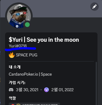 디스코드-아이디