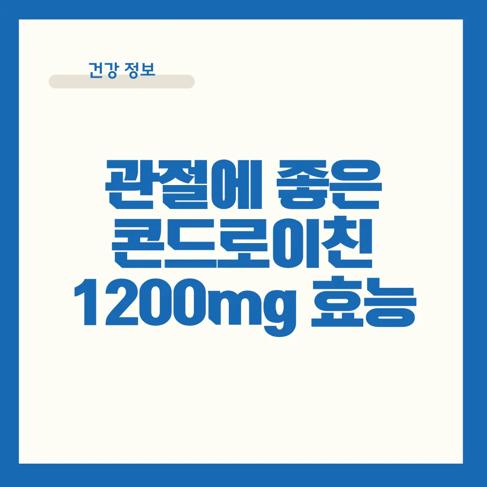 콘드로이친 1200mg효능 썸네일