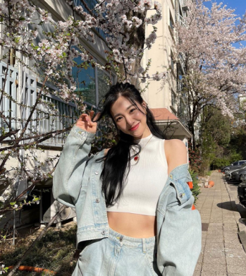 티파니