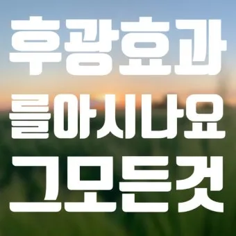 후광효과 뜻 실제 사례 유래 반대 개념 비판 시각_21
