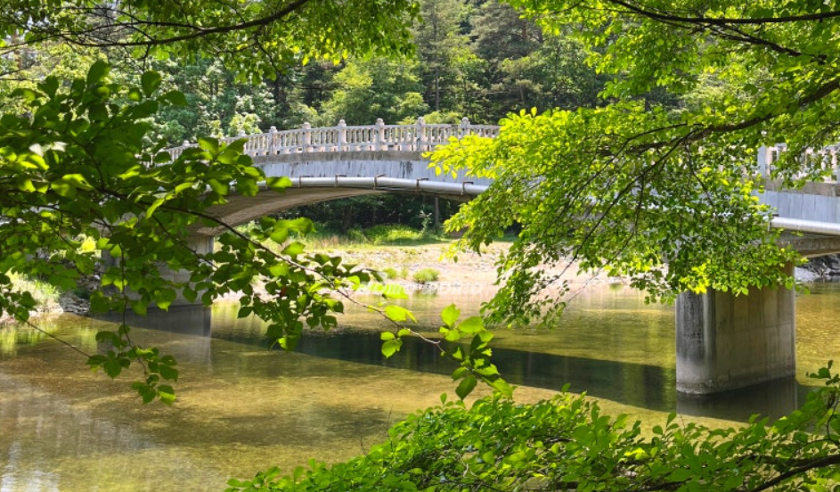 월정사 전나무숲길