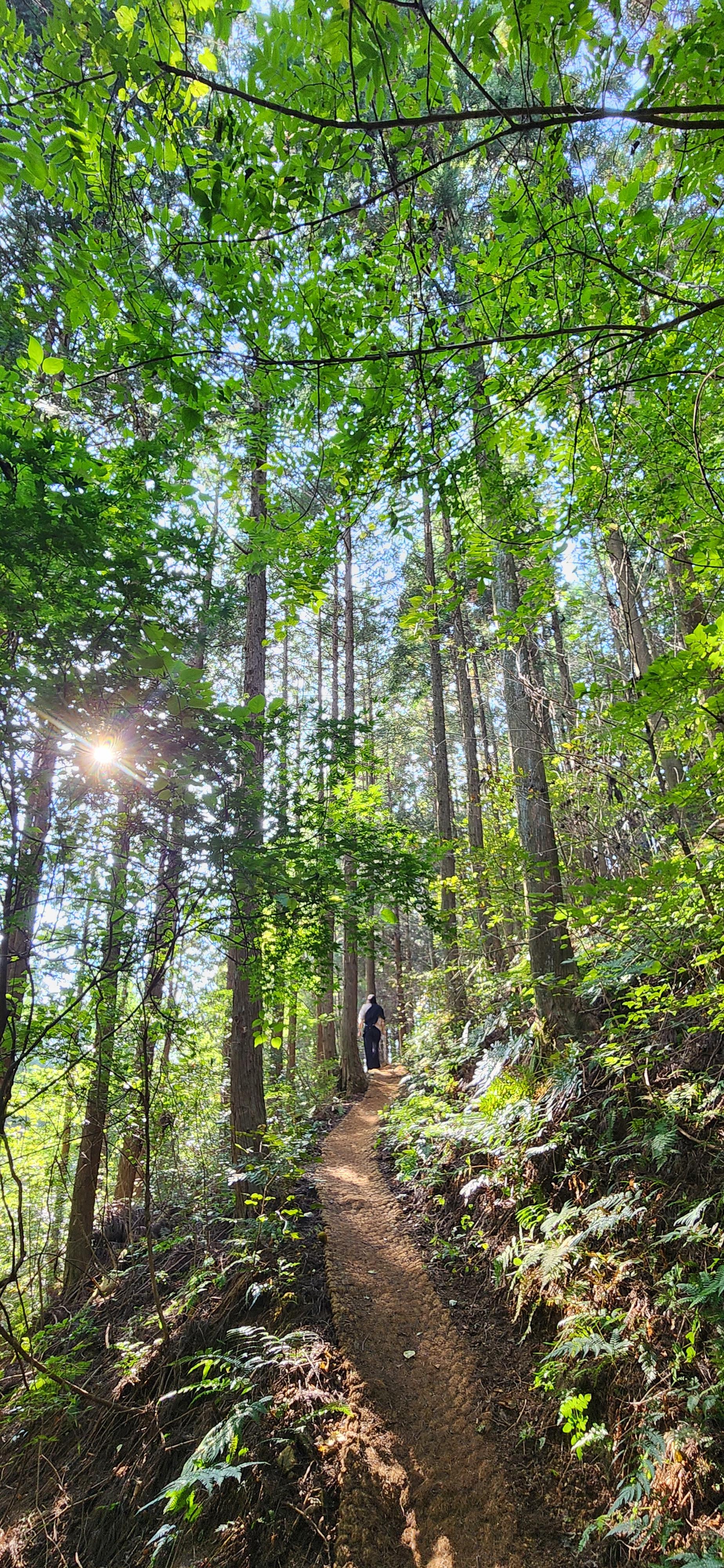 좁고 험한 길을 지나