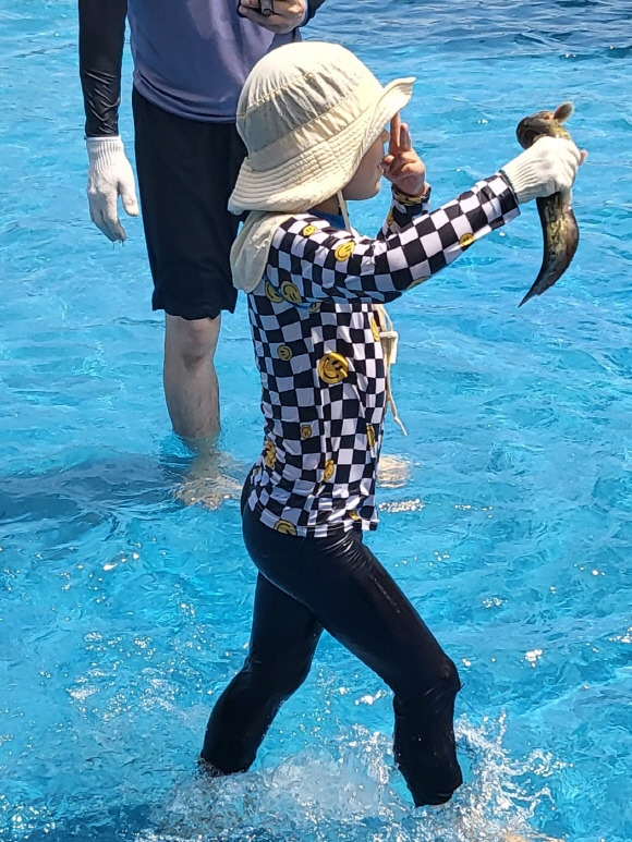 2025 양평메기수염축제 총정리