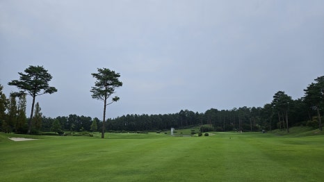 골프장 경험담 여주 세라지오CC 자연 속에서 즐기는 프리미엄 퍼블릭 골프장의 품격
