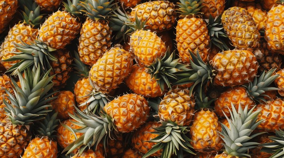 파인애플 효능