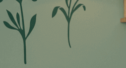 Tile 5