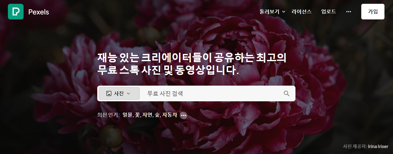 펙셀