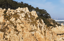 단풍여행 1박2일 버스여행 단풍구경