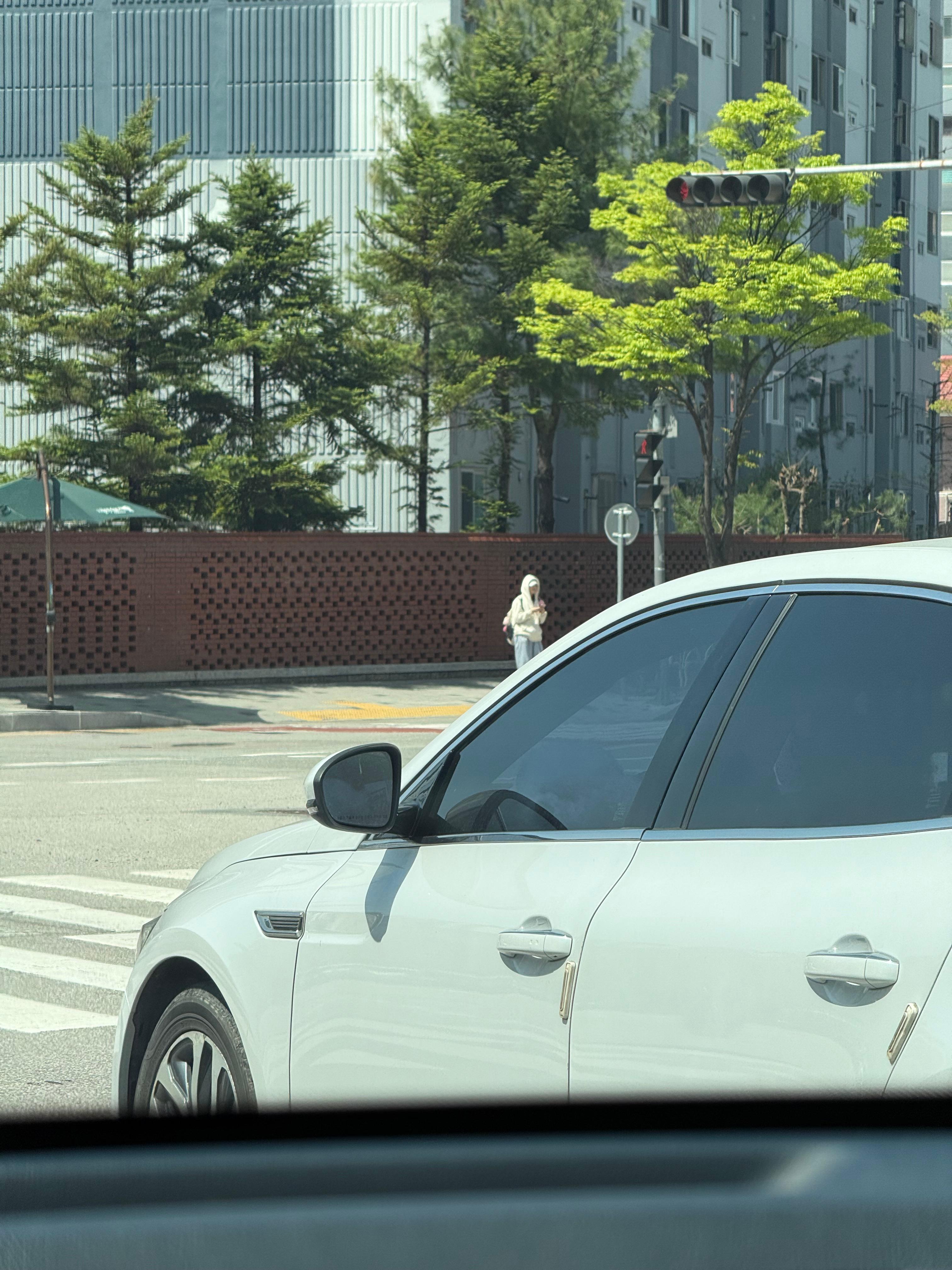 다시 들어간 강아쥐 사진