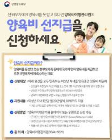 양육비 선지급금 