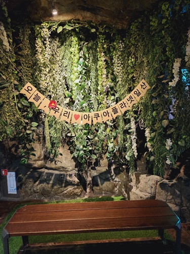 아쿠아플라넷 일산 할인 입장권 저렴한곳 + 다녀온 후기