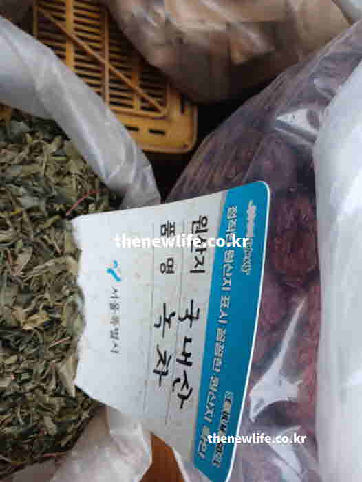 녹차 효능 먹는 법 운동 30분 전