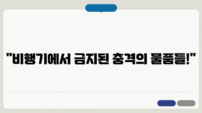 비행기내 반입 금지 품목