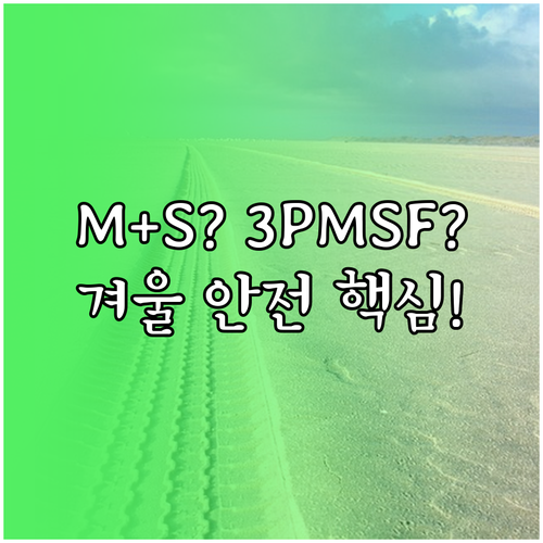 윈터타이어의 M+S vs 3PMSF ..