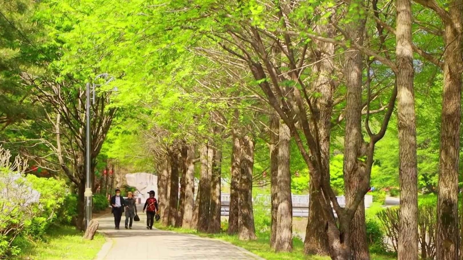 김제 모악산 뮤직페스티벌