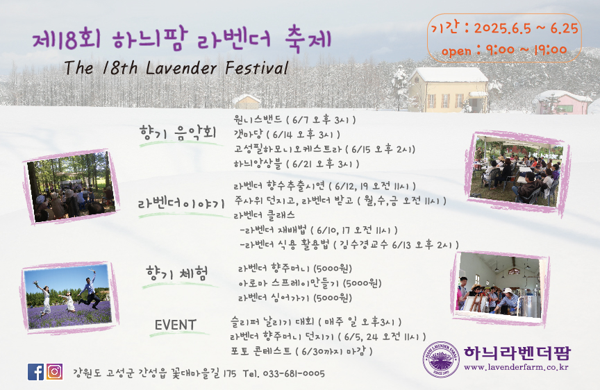 하늬팜 라벤더 축제