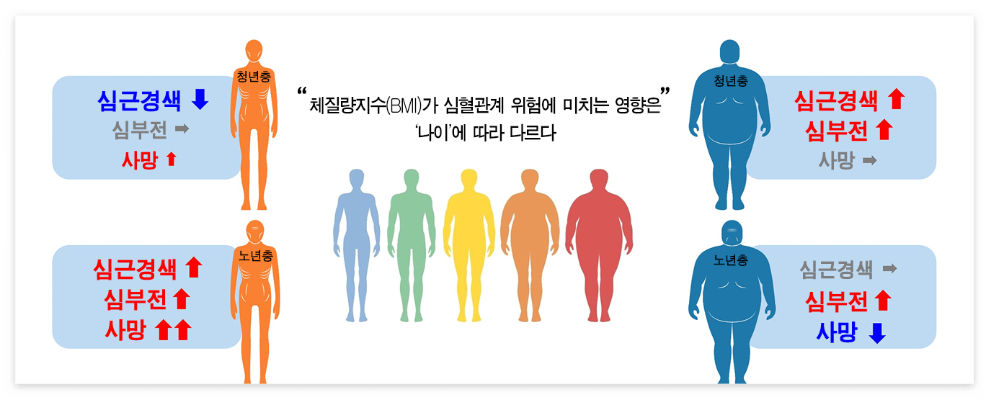 비만도 검사