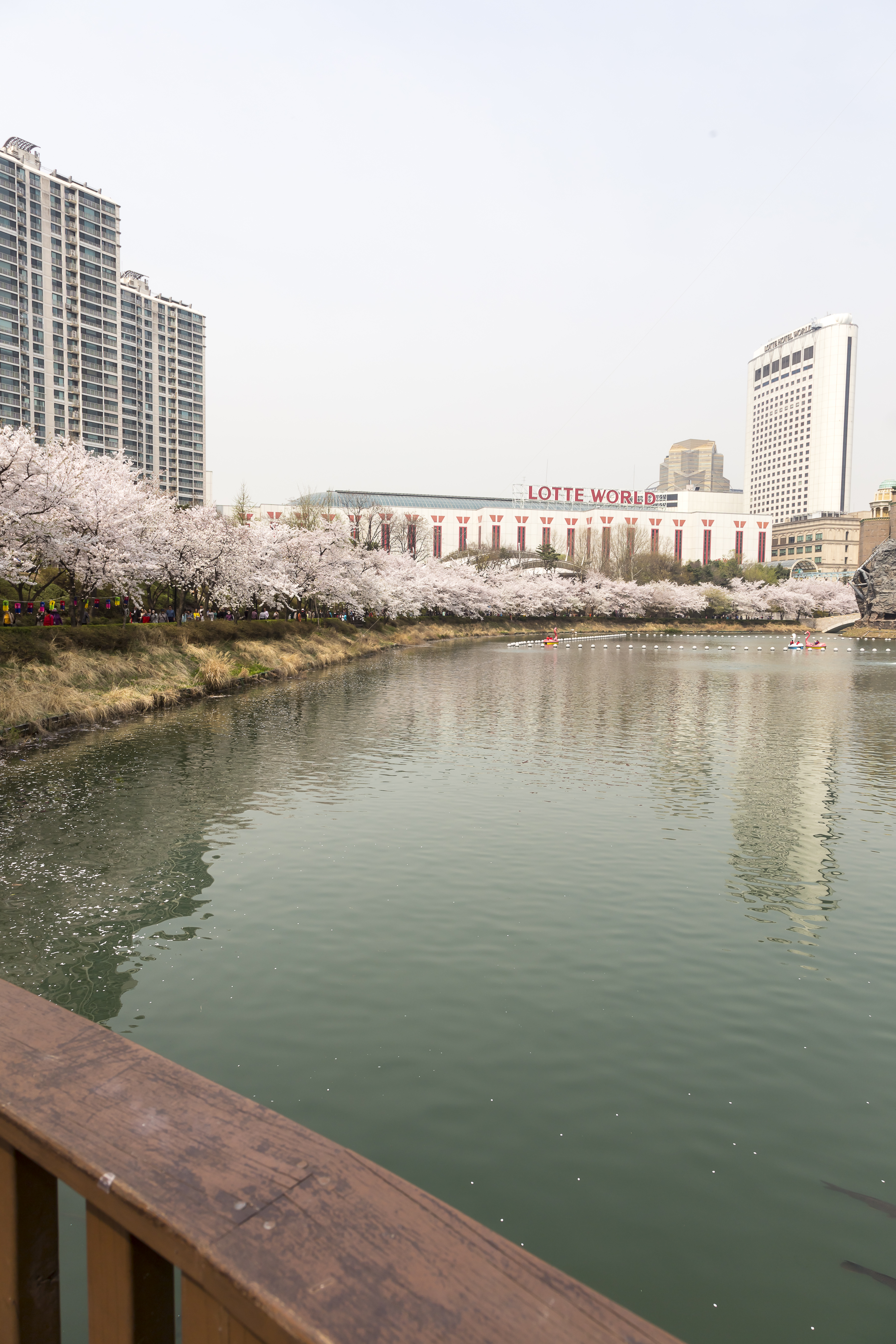 벚꽃 배경 롯데월드