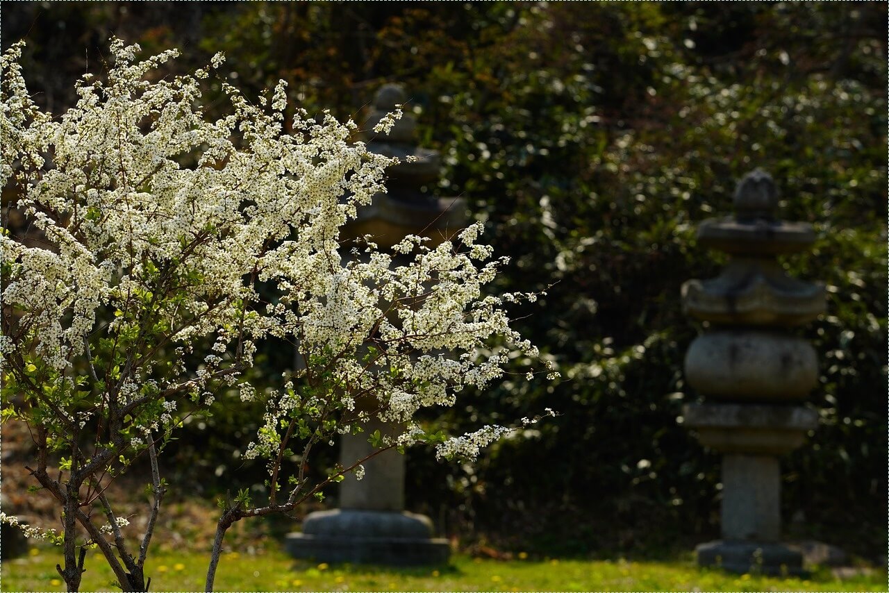 우리은행 정기예금 금리