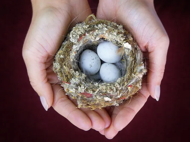 요양보호사 자격증