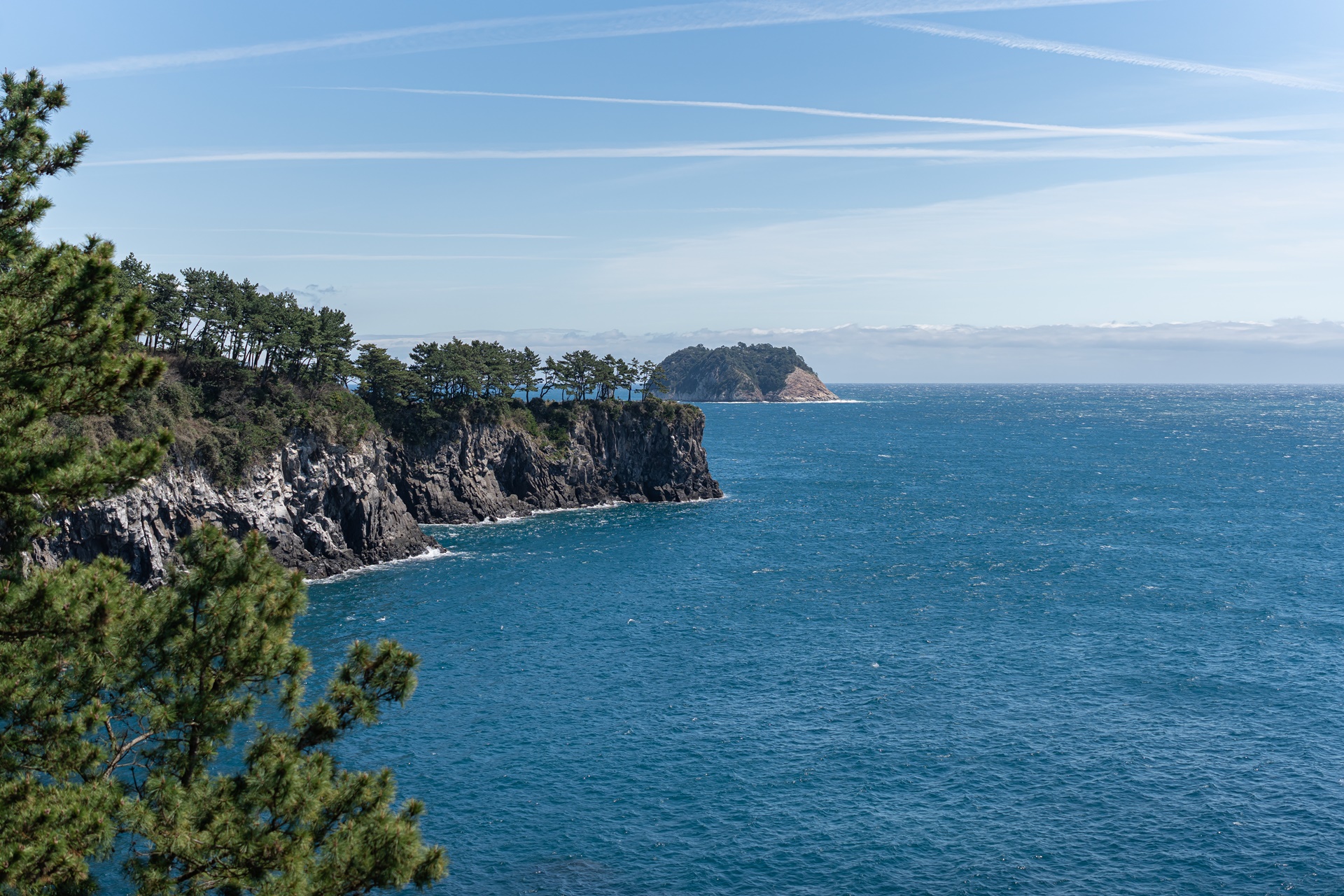 #JW가든 #JW메리어트제주 #댄싱두루미 #더플라잉호그 #아일랜드키친 #유채꽃 #제주사진 #제주여행 #제주유채꽃 #제주호텔