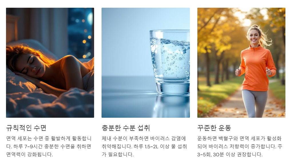 면역력을 높이는 생활 습관