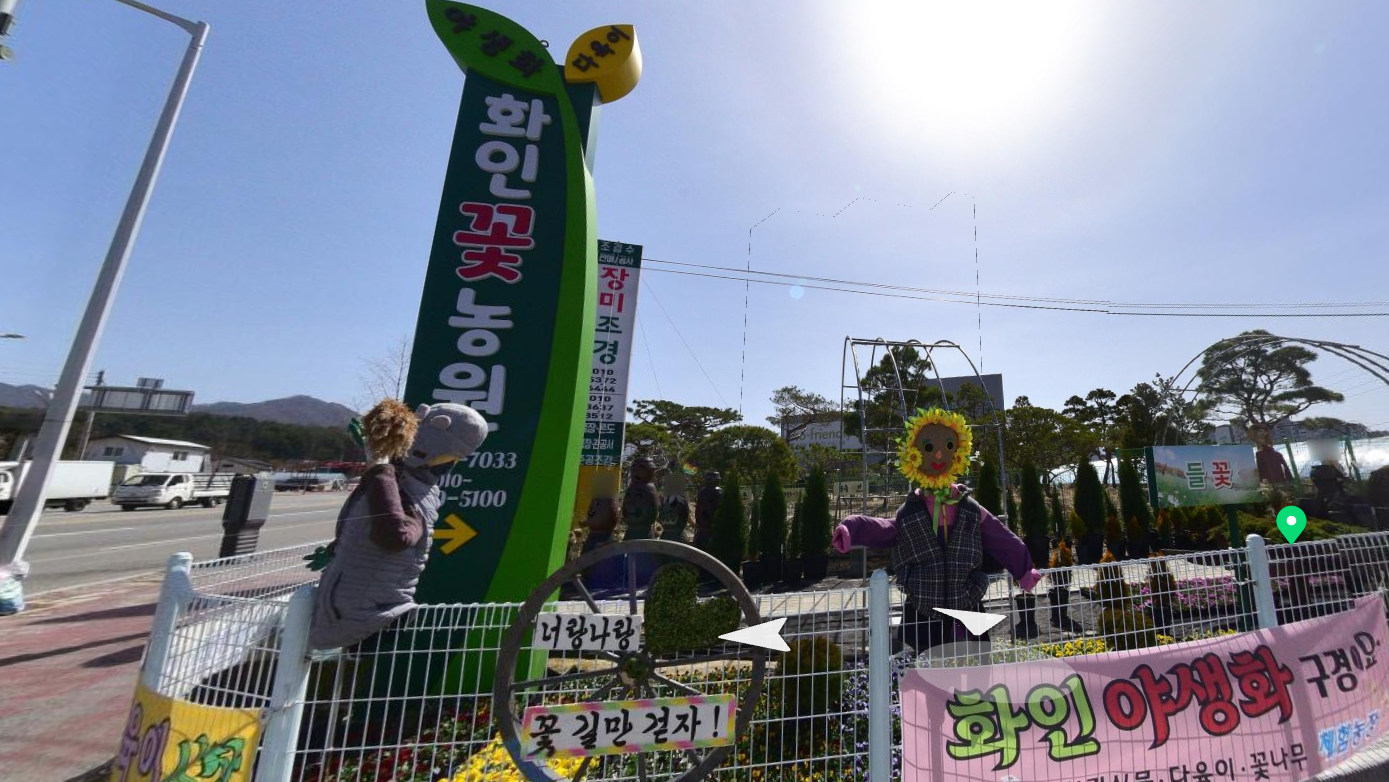 춘천 꽃집 꽃 식물 도소매