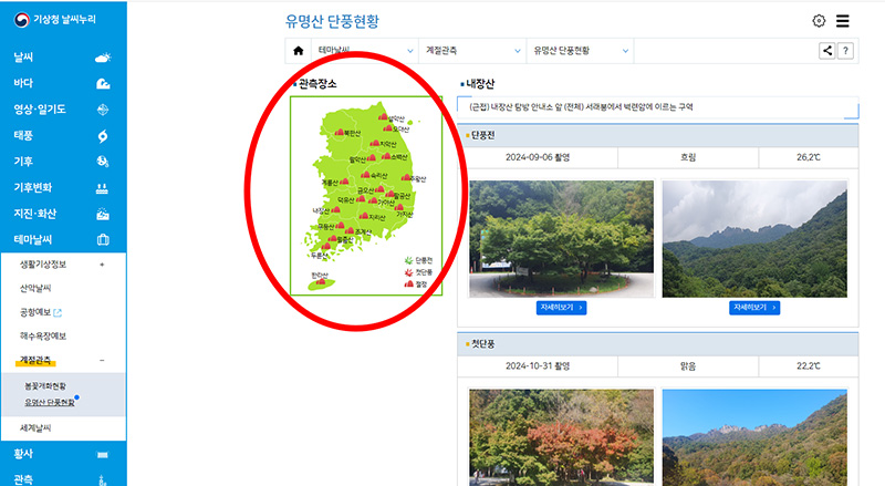 내장산 단풍 절정 시기