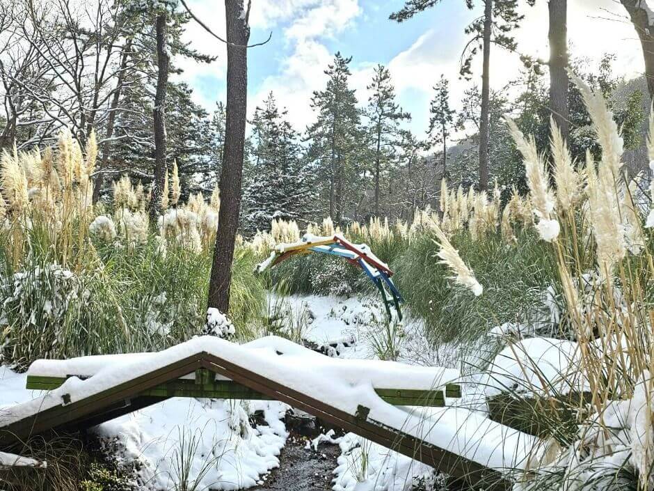 해남 포레스트수목원 입장료 총정리