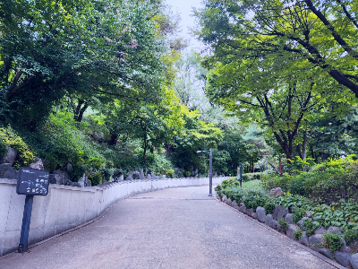 서울 공원 찾는 방법, 공원 이용 전 확인할 정보