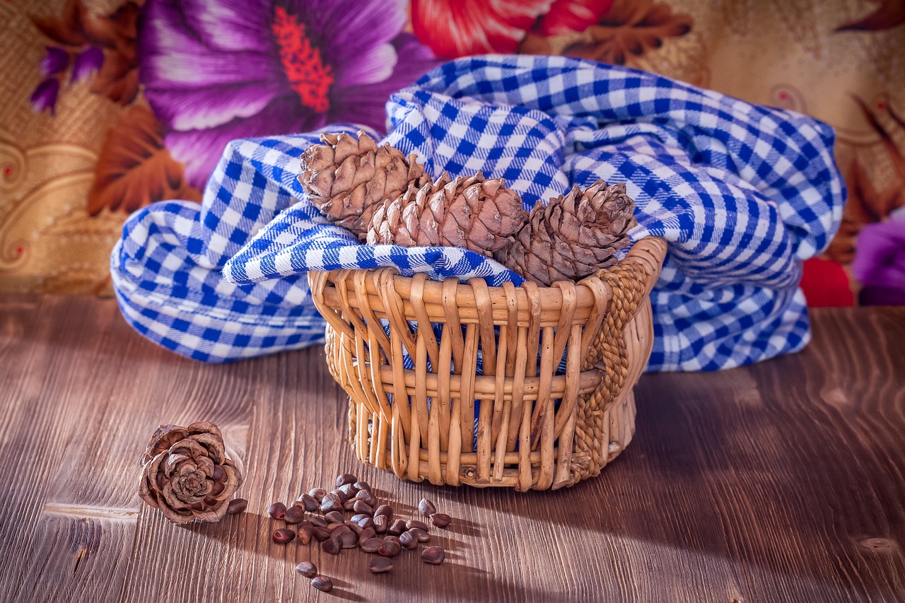 9월 1일부터 시작! 국립공원 멤버십 야영장혜택&middot;신청 방법 한눈에