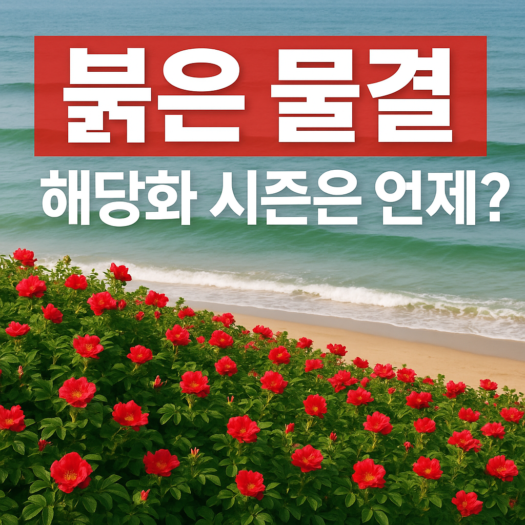 국내 유일! 바다와 사막이 만나는 태안 신두리 여행기