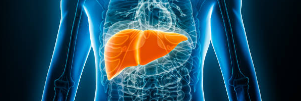 간 검진 관련 사진