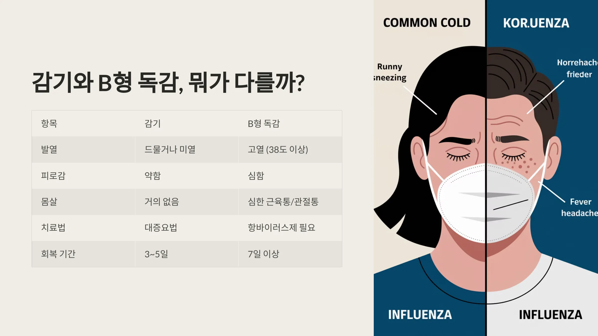 감기와 B형 독감 차이를 설명한 표