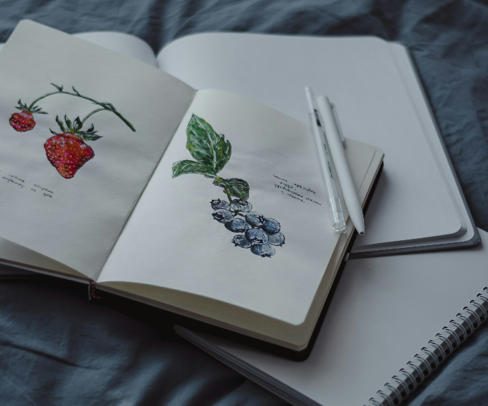 포트폴리오 제작 &amp; SNS 활용법: 펜 드로잉 기록 전략