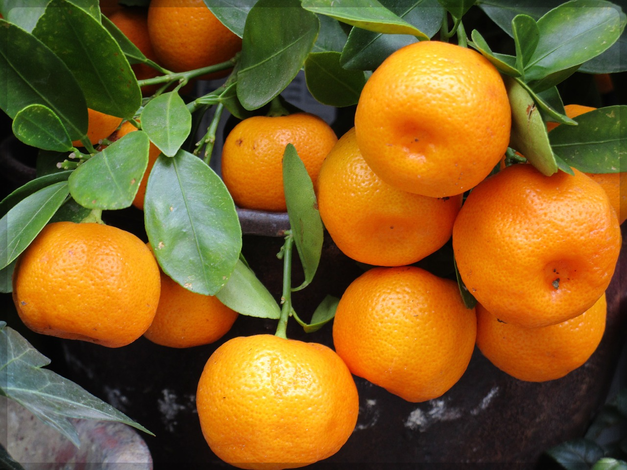 피부 좋아 지는 방법