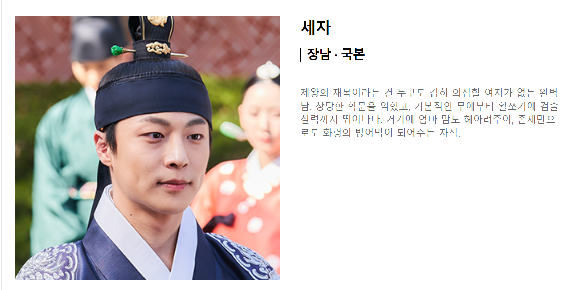 슈룹 드라마 등장인물 인물관계도 총정리