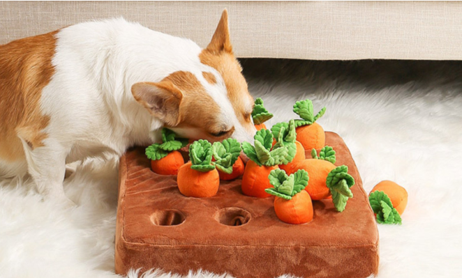 강아지 장난감 추천