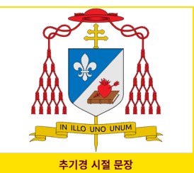 새 교황으로 선출된 레오 14세