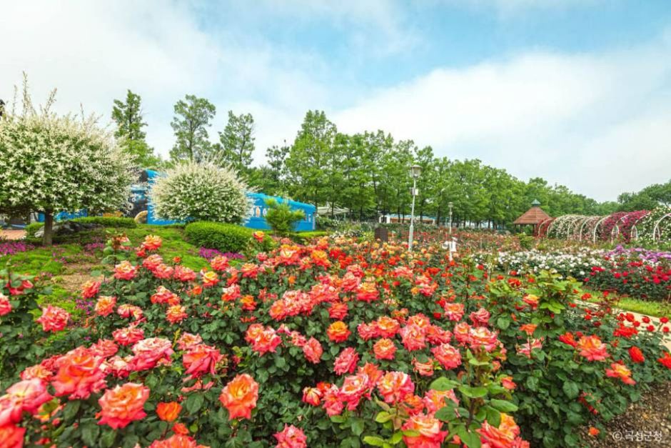 곡성 가볼만한곳 베스트10