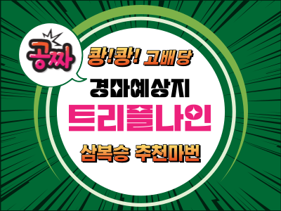 고배당 삼복승 추천마번 무료예상지 트리플나인