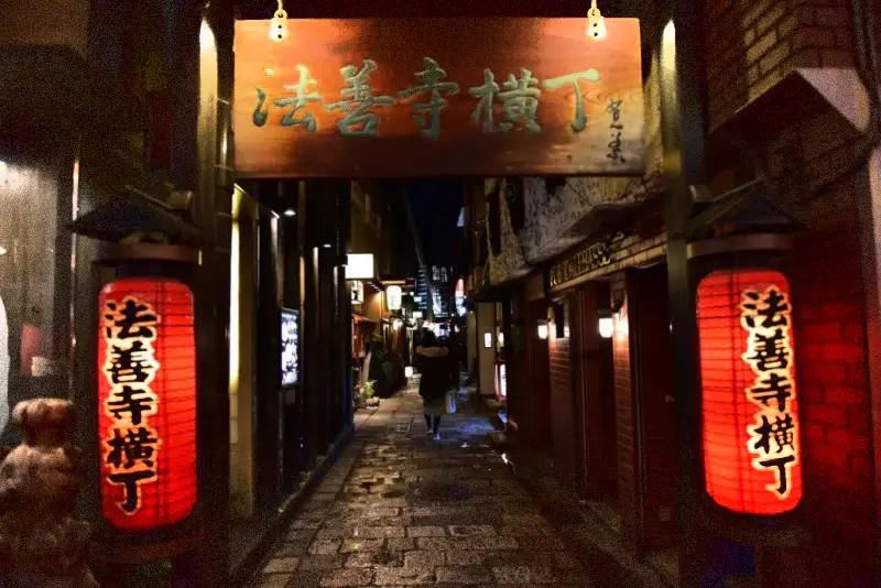 오사카-번화가-호젠지-요코초