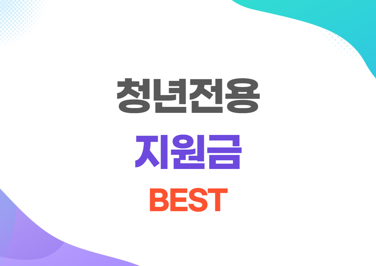 청년전용 지원금