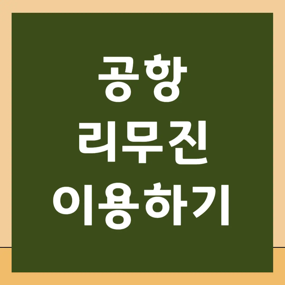 공항 리무진 이용하기