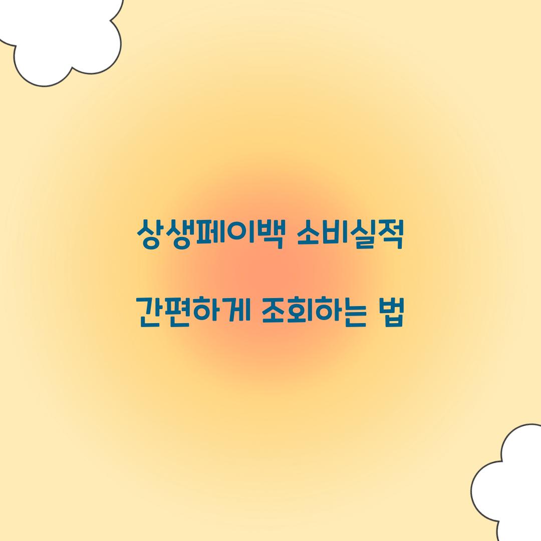 상생페이백 소비실적 간편하게 조회하는 법