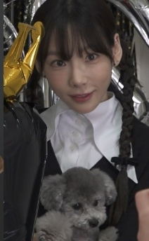 태연과 반려견