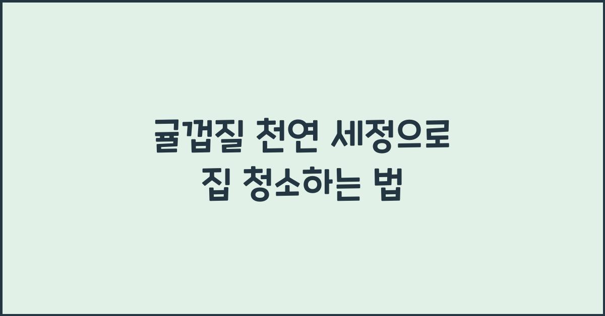 귤껍질 천연 세정