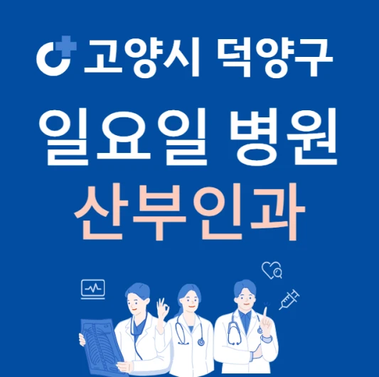 고양시-덕양구-일요일-산부인과-진료하는곳-주말에-문여는-고양시-24시간-산부인과-병원-찾기